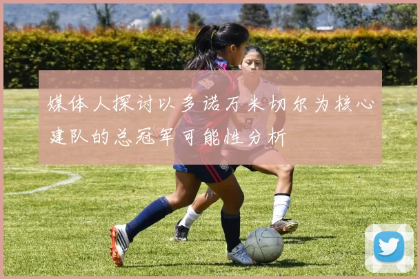 媒体人探讨以多诺万米切尔为核心建队的总冠军可能性分析